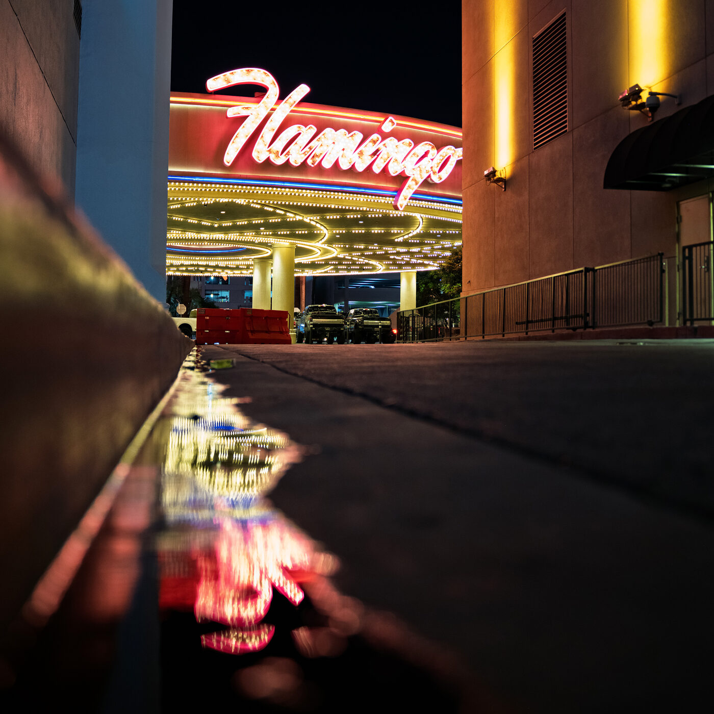 Flamingo neon sign and wet pavement reflections